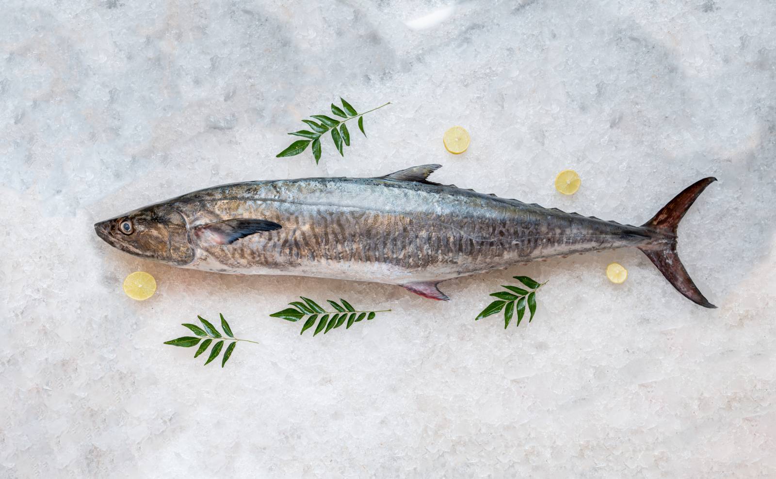 Naimeen Seer Fish (King Fish)