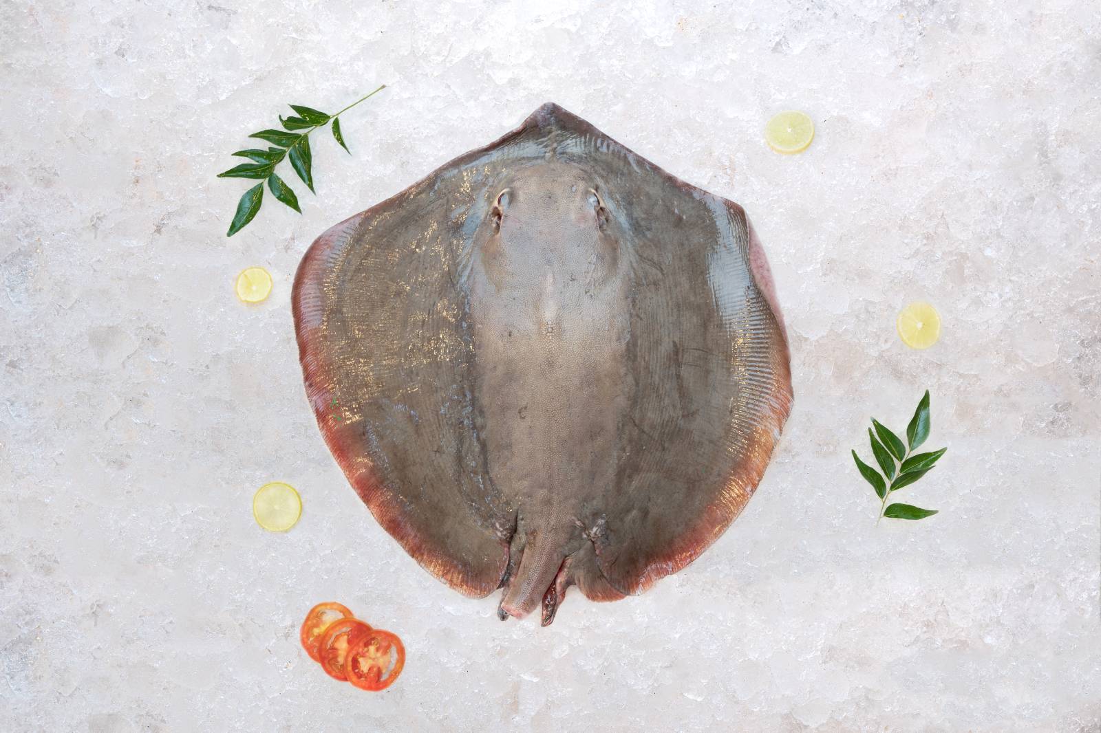 THERANDI (STINGRAY FISH)