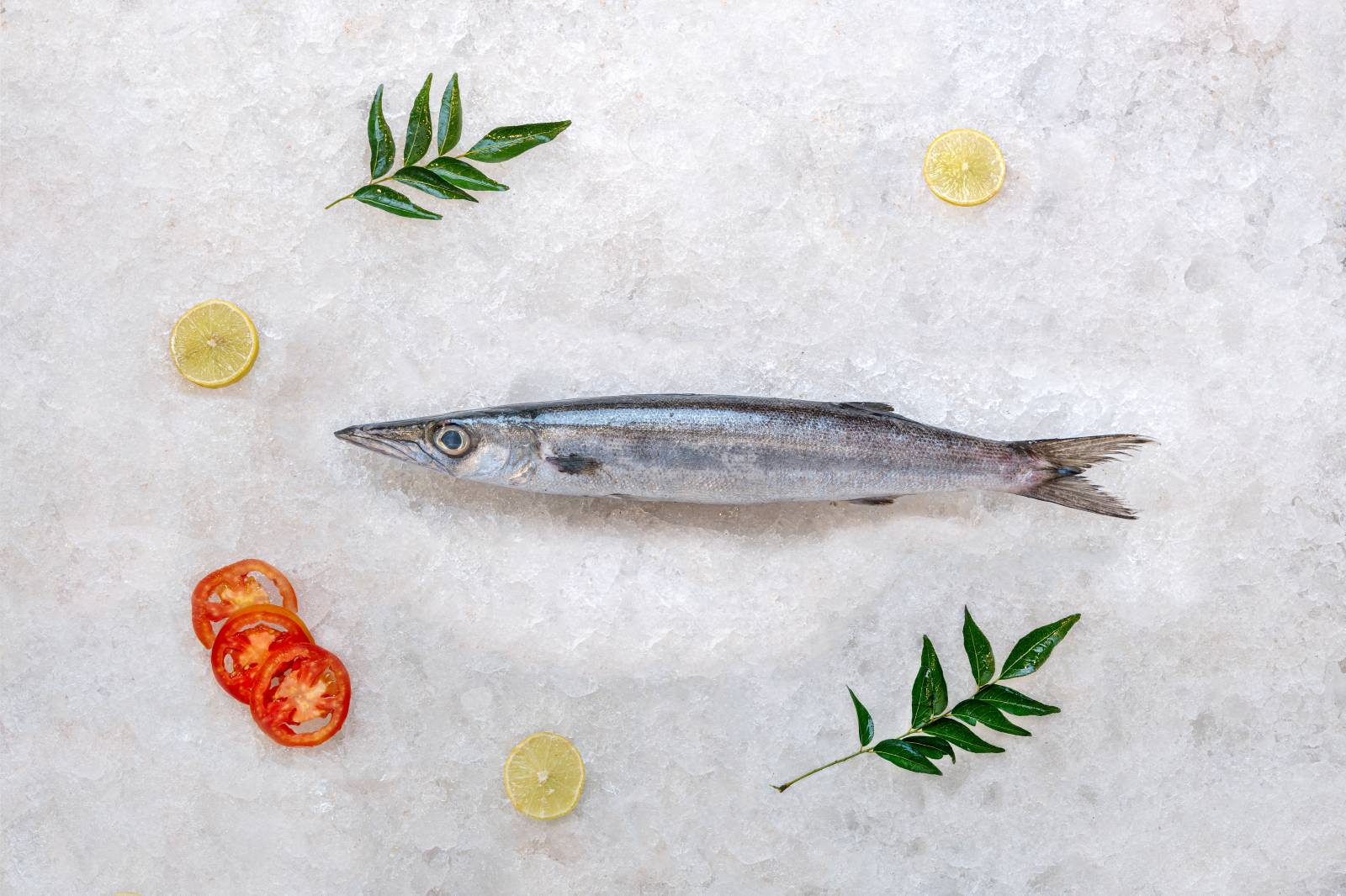 Whole Chilav Neduva (Barracuda)