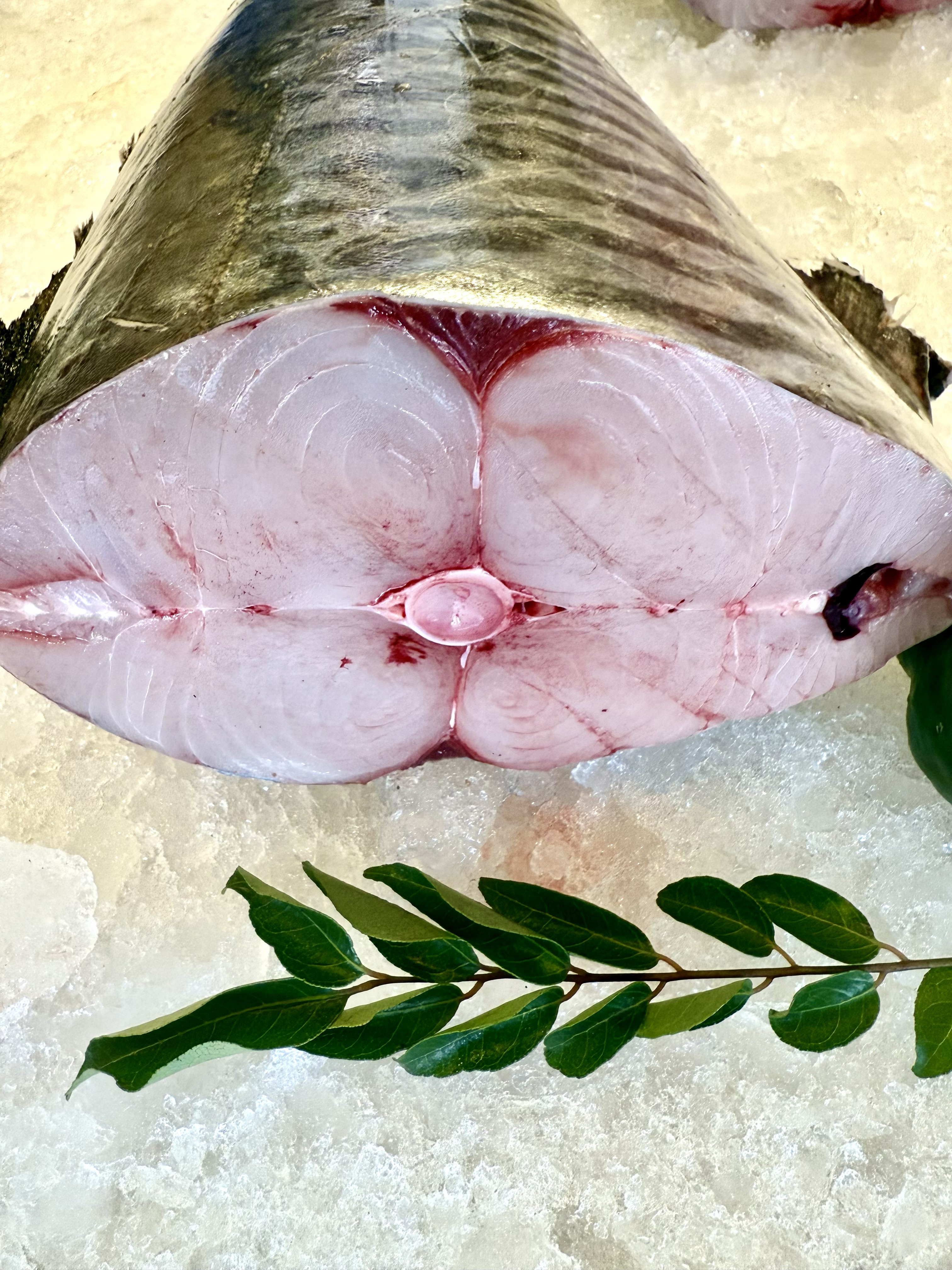Naimeen Seer Fish (King Fish) Curry cut/Fry cut