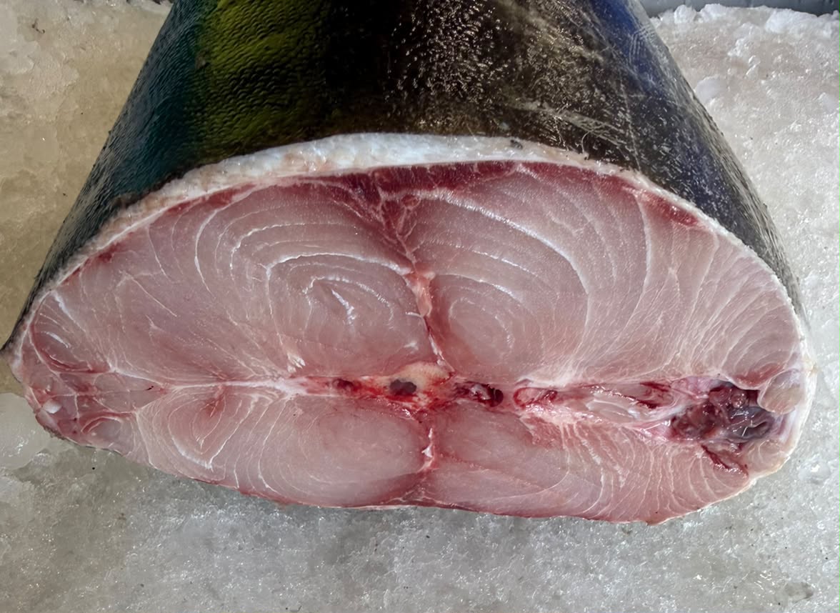 Moda /Cobia Curry cut