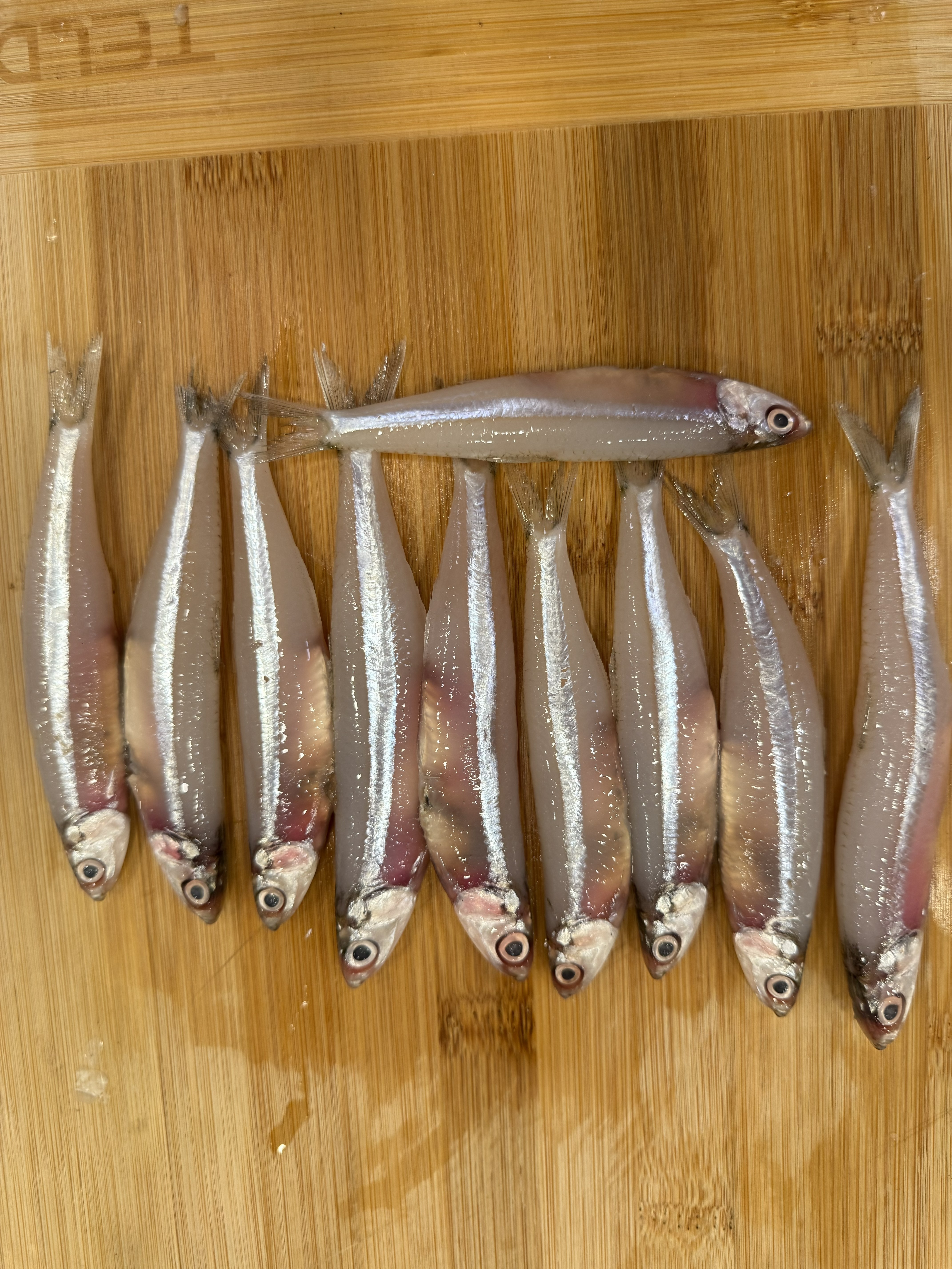 Ko Netholi Big Anchovi