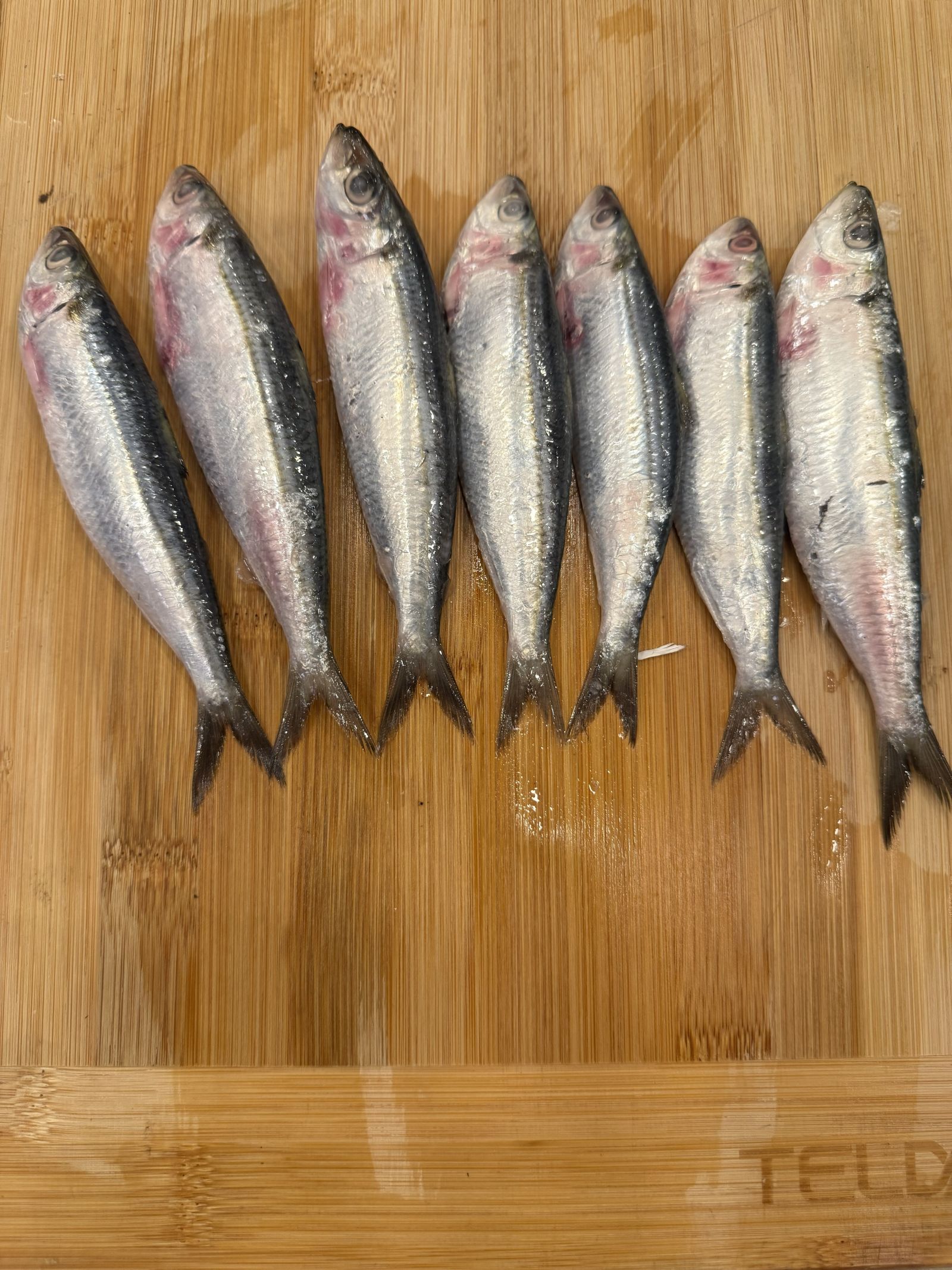 NADAN CHALA/ SARDINE